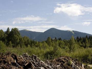 Hotel für 4 Personen in Bad Kohlgrub, Bayerische Alpen, Bild 3