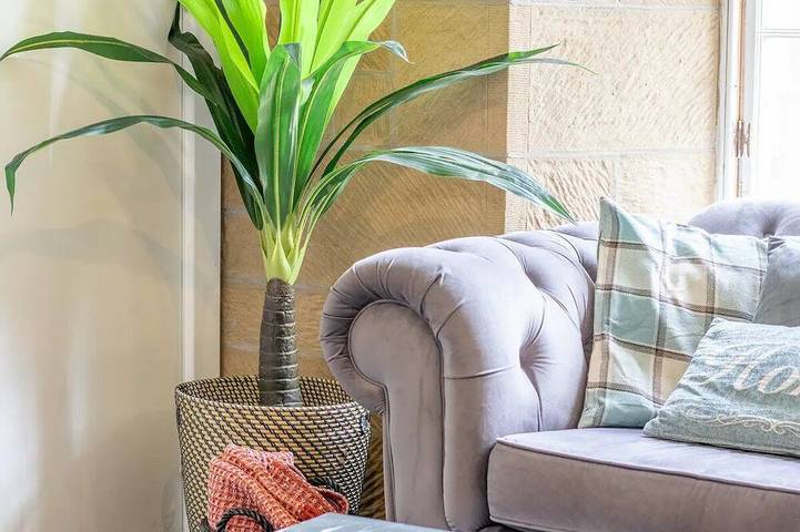 Glamping for 5 people, with garden in Glasgow