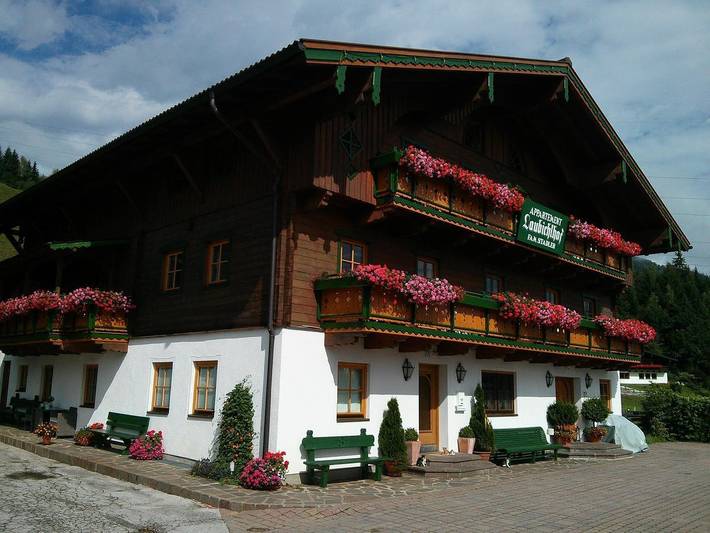 Ganze Ferienwohnung, Fewo A (2-4 Personen/1 Sz, 1 Wsr) in Flachau, Ski Amadé