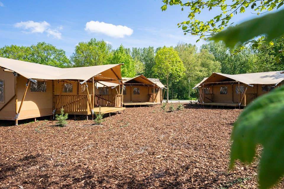 Europarcs Het Amsterdamse Bos — Lodgetent Community 16  in Nordholland