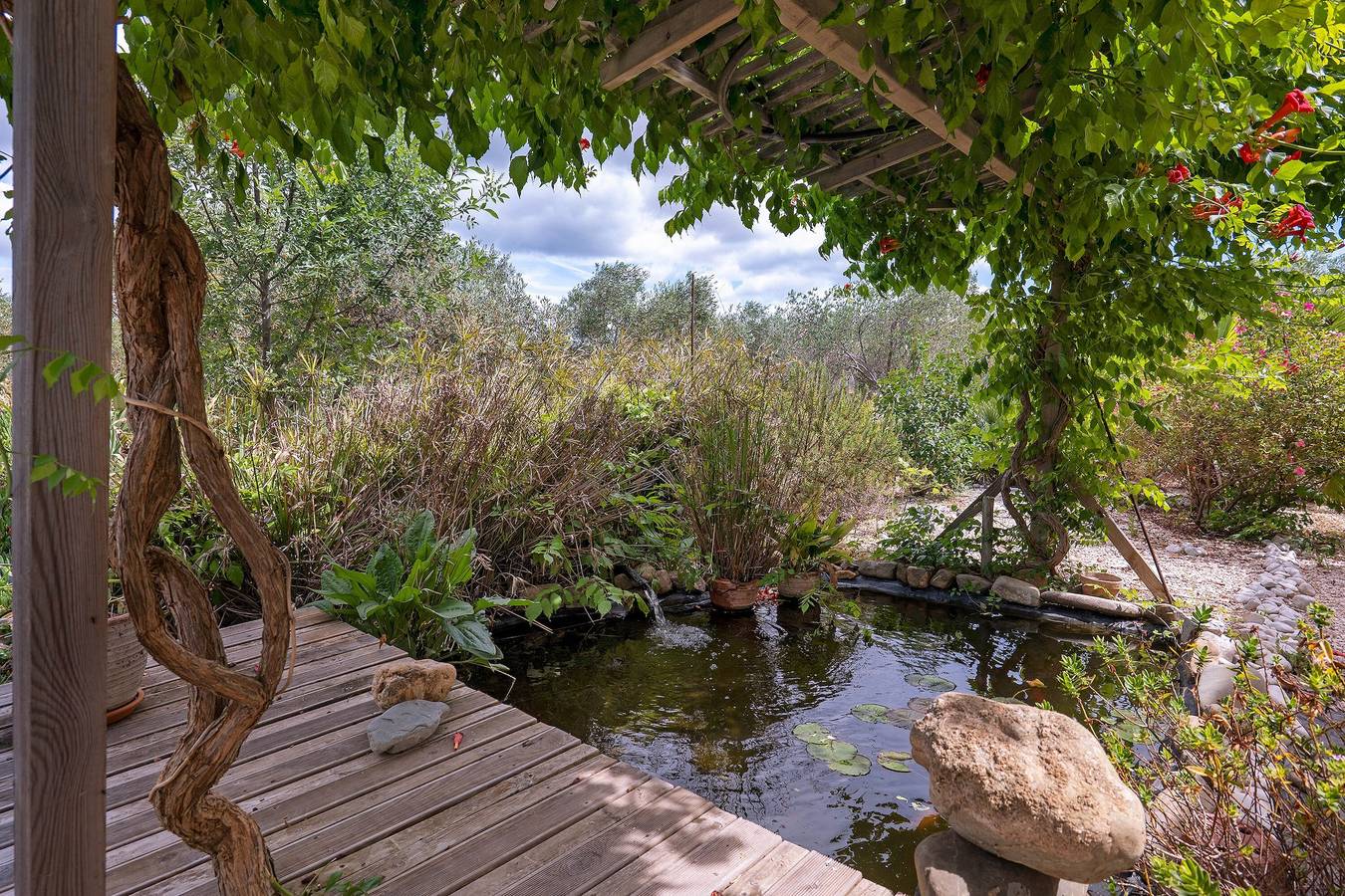 Chambre d’hôtes « Domaine des Lucques » avec piscine privée, Wi-Fi et climatisation in Mirepeisset, Côte méditerranéenne (France)