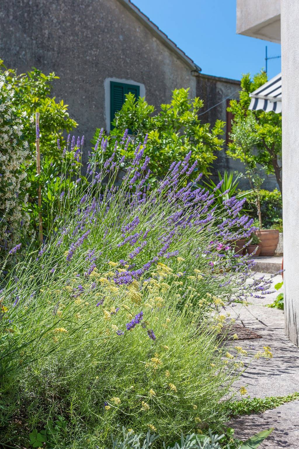 Ganze Wohnung, 1-Zimmer-Ferienwohnung mit Terrasse Kastel Stari, Kastela A-20999-a in Kastel Stari, Kaštela