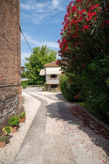 Location de vacances pour 3 personnes, avec Balcon et Terrasse ainsi que Jardin et Vue à Montagnana