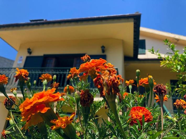 Casa de férias para 12 pessoas, com jardim e piscina e ainda vista em Barcelos