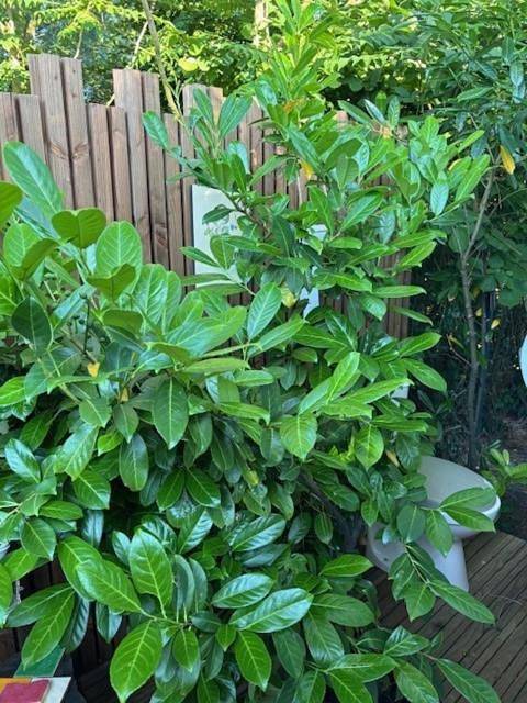 Location de vacances pour 2 personnes, avec terrasse à Saint-Pierre-des-Corps - 4