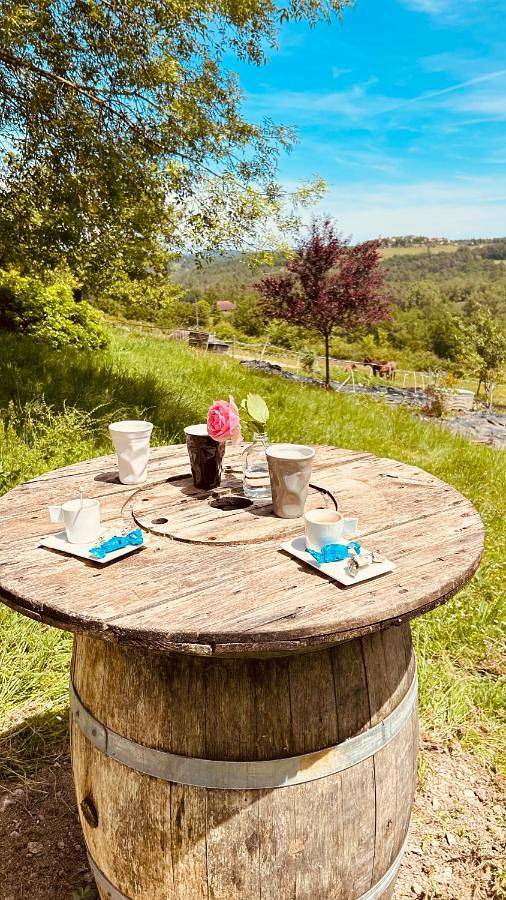 Location de vacances pour 2 personnes, avec piscine ainsi que jardin et jacuzzi à Fargues - 2