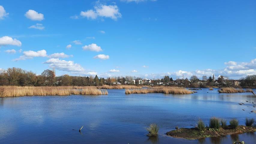 Ferienhaus für 4 Personen, mit Garten und Terrasse, mit Haustier im Saarland - 4