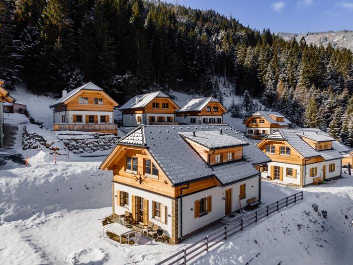 Chalet für 10 Personen, mit Sauna und Garten sowie Terrasse, mit Haustier - 1