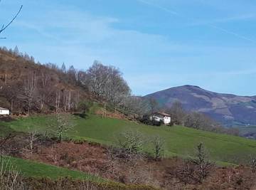 Gîte pour 6 personnes, avec jardin et terrasse, animaux acceptés à Bidarray