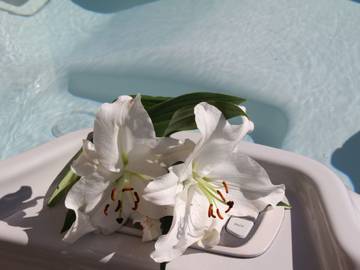 Huisje Aan Zee voor 8 Personen in Plounéour-Brignogan-Plages, Finistère, Afbeelding 4