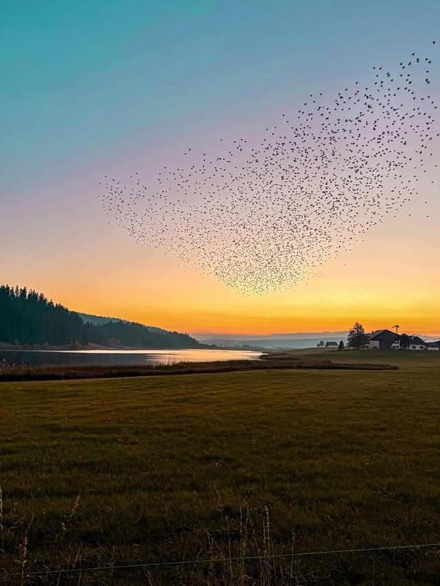 Gîte pour 6 personnes, avec jardin et vue, animaux acceptés dans La Brévine - 3