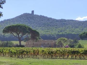 Bungalow per 4 Persone in Viareggio, Provincia di Lucca, Foto 2