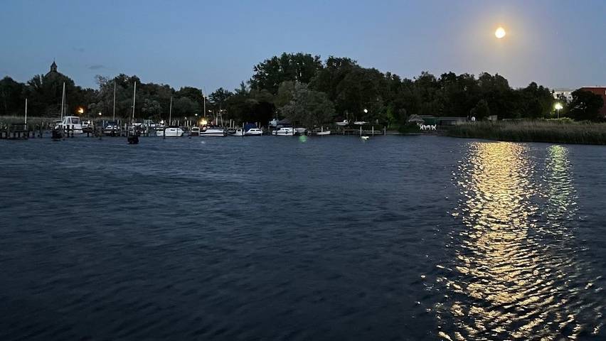 Hausboot für 6 Personen, mit Seeblick und Terrasse in Ribnitz-Damgarten - 2