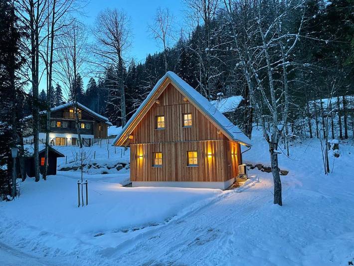 Ferienhaus für 8 Personen, mit Garten und Sauna sowie Whirlpool, mit Haustier