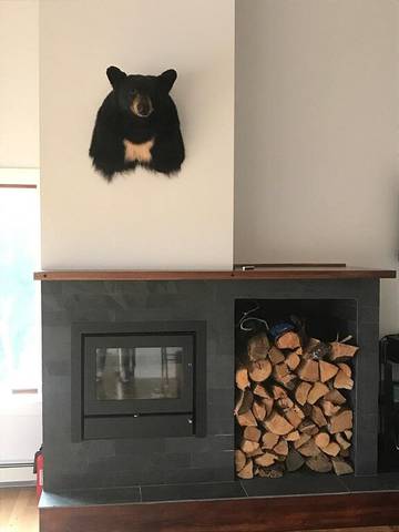 Vacation House for 10 Guests in Stratton Mountain, Vermont, Picture 1