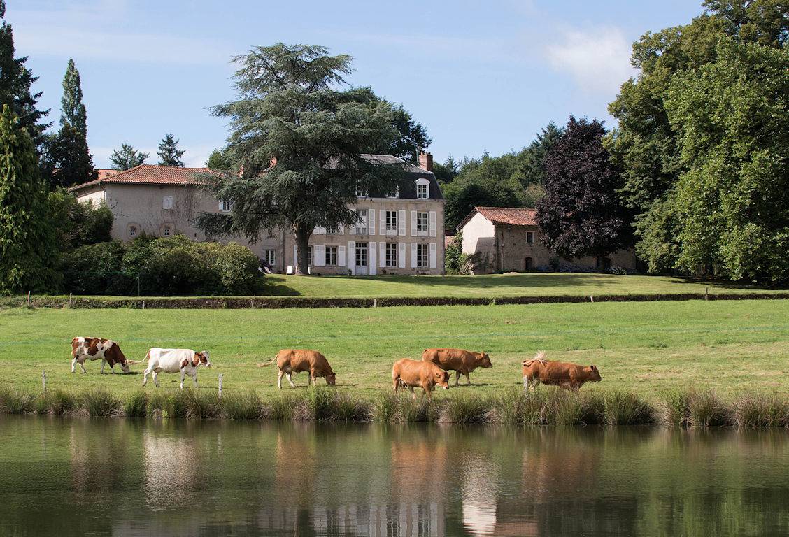 Chambres et table d'hôtes de charme Le Masbareau - La chambre de tante Chantal in Royères, Région de Limoges