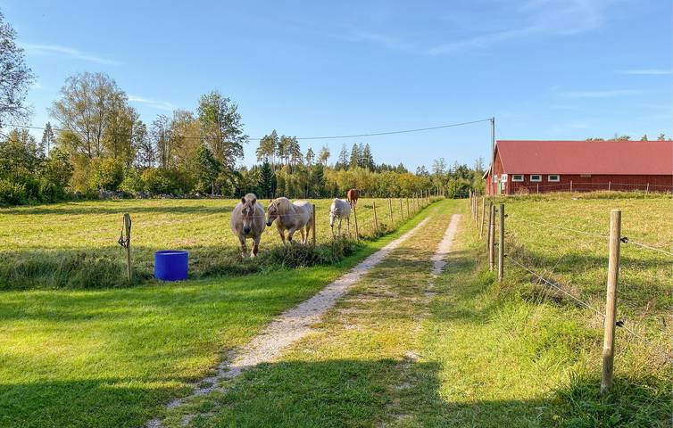 Hus för 6 Personer med trädgård in Kronobergs