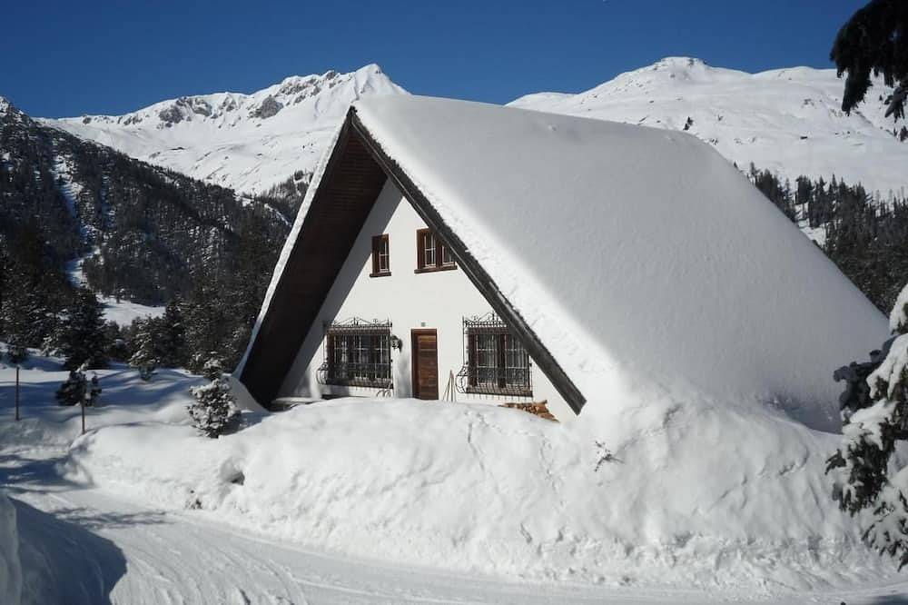 Chalet Atelier in Davos, Plessur Alpen