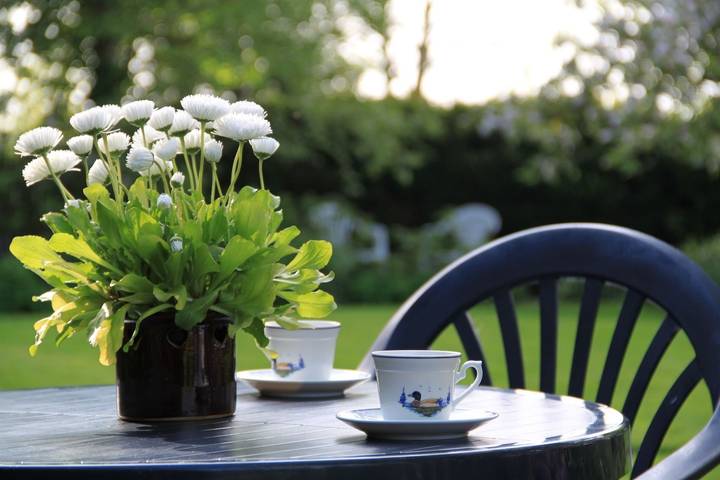 Ferienwohnung für 2 Personen, mit Terrasse und Garten in Friedrichskoog - 4