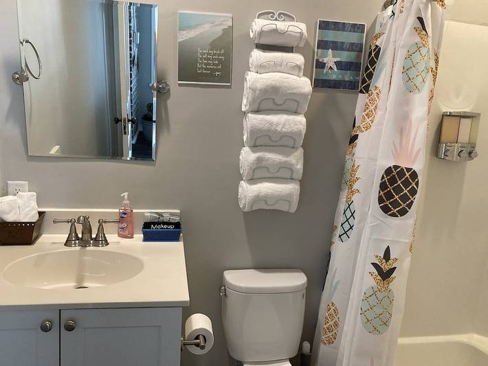 Apartment for 3 people, with pets in Charleston