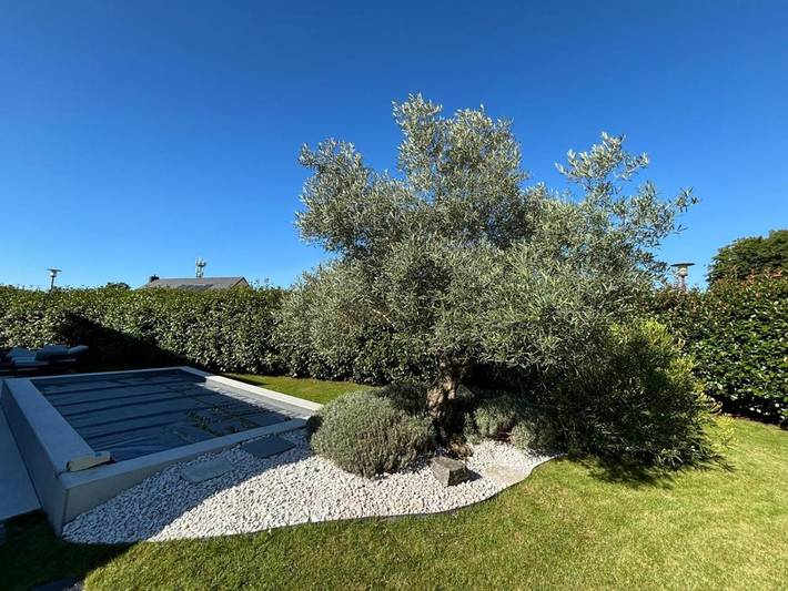 Gîte pour 10 personnes, avec terrasse et piscine dans Prinquiau - 4