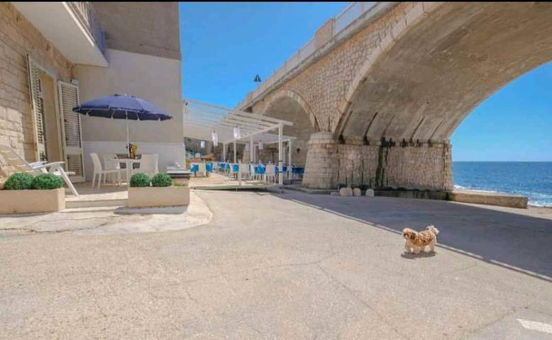 Location de vacances pour 4 personnes, avec terrasse, animaux acceptés dans Santa Maria di Leuca - 4