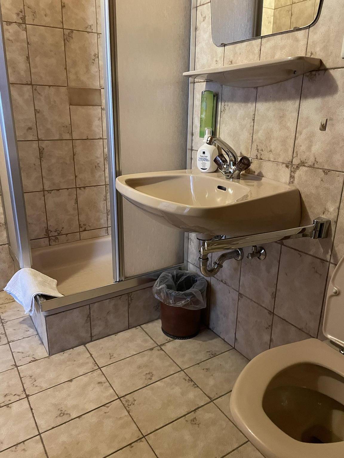 Entire holiday apartment, Einzelzimmer 8, Wc, Dusche in Millstatt, Oberkärnten