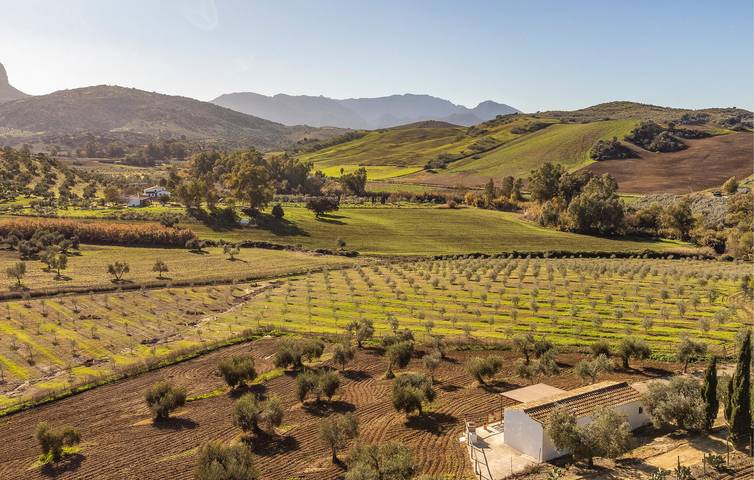 Location de vacances pour 4 personnes, animaux acceptés à Algodonales - 2