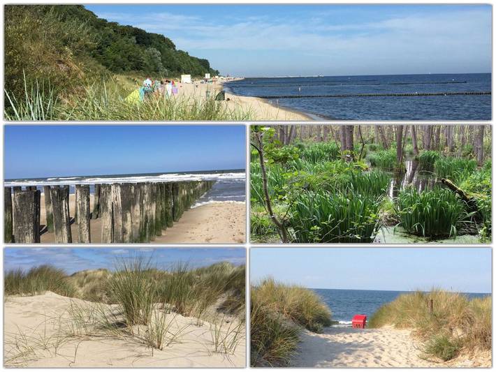 Ferienwohnung für 4 Personen, mit Garten und Terrasse in Koserow - 3