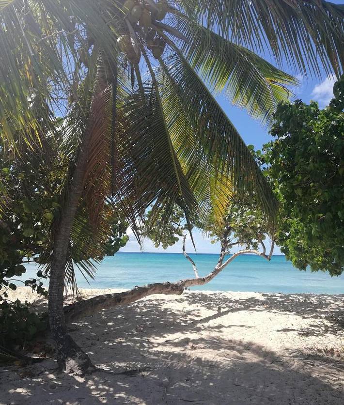 Location de vacances pour 4 personnes, avec piscine ainsi que terrasse et jardin dans Port-Louis (Guadeloupe) - 2