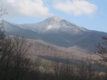 Glamping for 2 Guests in Buncombe County, Picture 3
