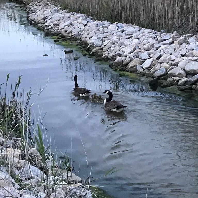 Willkommen im Paradies - Wünschenswerte Bonnet Shores Get Away in Narragansett, Washington County (RI)
