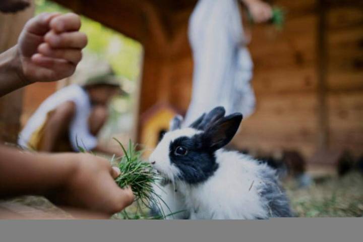 Vacation rental for 2 people, with balcony and yard in Orange County (NY)