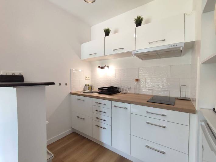 Gîte pour 4 personnes, avec jardin à Trébeurden - 3