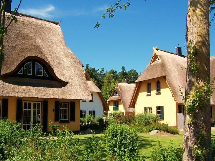 Ferienhaus für 8 Personen, mit Pool und Terrasse sowie Sauna, mit Haustier in Dierhagen