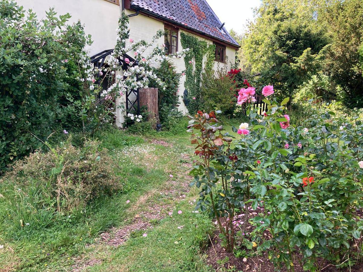 Apartment - Ground Floor in Waveney District, Suffolk