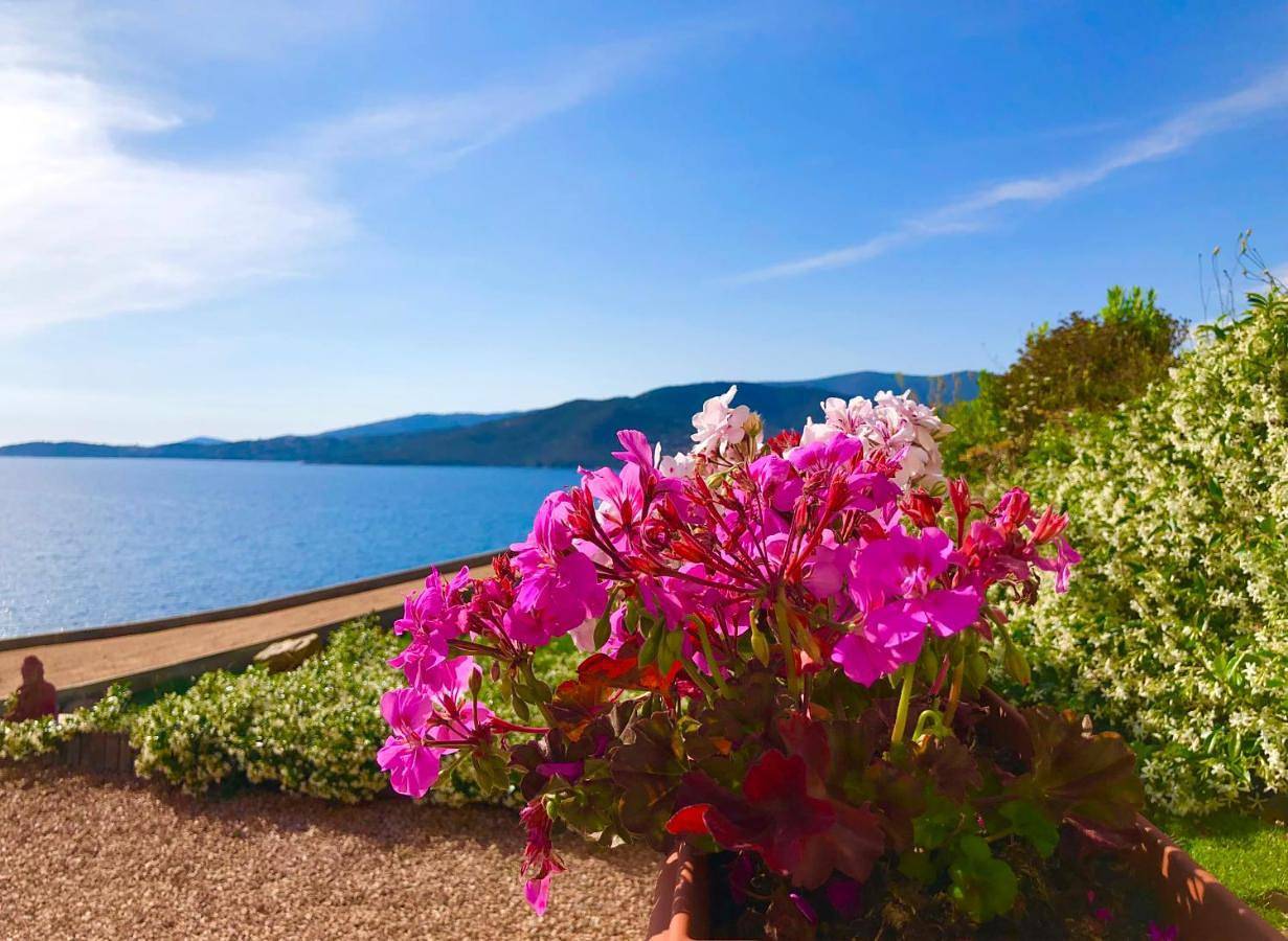 Appartement entier, Studio Apartment with Sea View in Sagone, Coggia