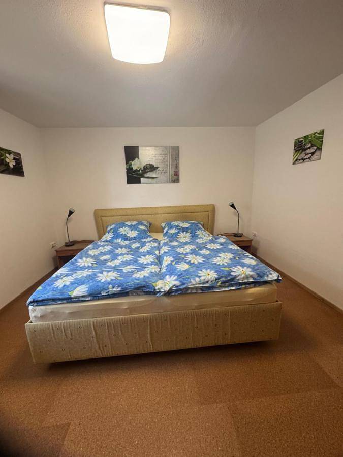 Gîte pour 3 personnes, avec Balcon et Terrasse ainsi que Jardin et Vue à Wegscheid - 2