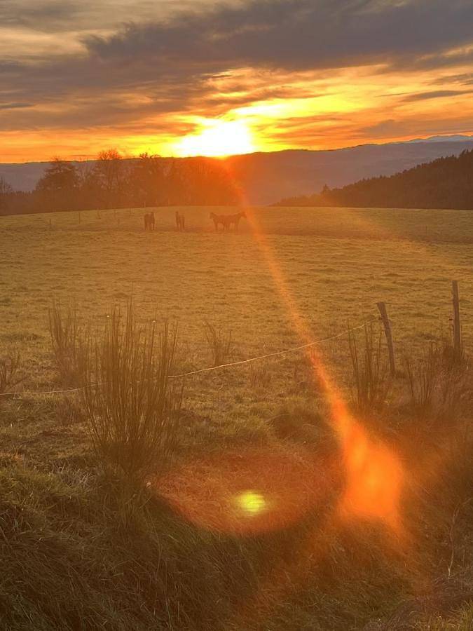 Gîte pour 2 personnes, avec jardin et terrasse ainsi que piscine et vue à Saint-Didier-sur-Doulon - 2