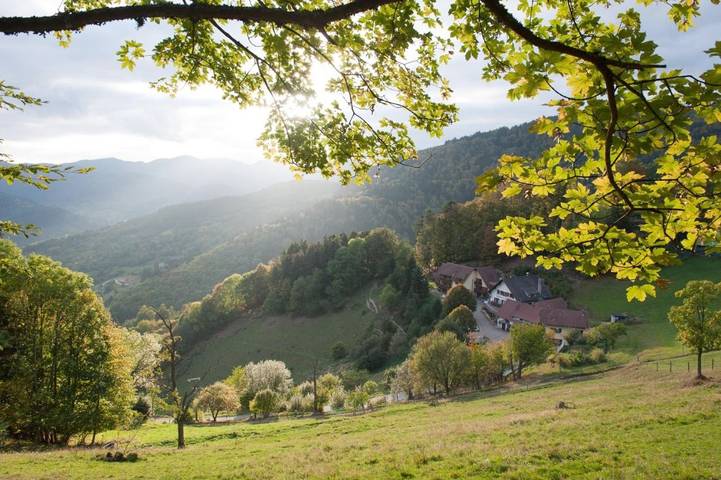 Hôtel pour 2 personnes, avec balcon à Saint-Amarin