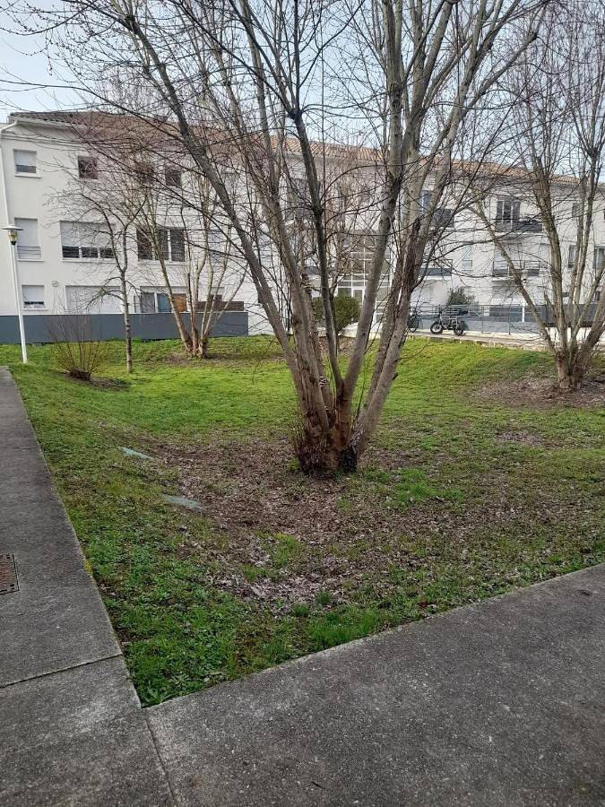 Gîte pour 4 personnes, avec balcon et piscine à Bègles - 2