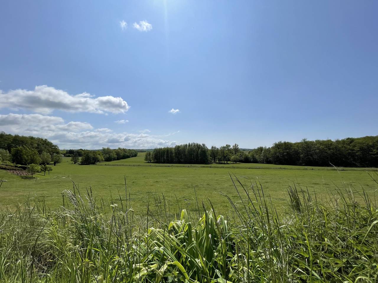 Ganze Wohnung, Ferienwohnung 'Fewo Sonnengelb - Fulgenhaus' mit Balkon in Wittenbeck, Bad Doberan & Umland