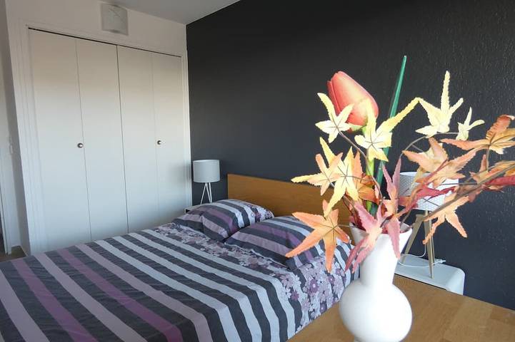 Gîte pour 4 personnes, avec balcon à Dax - 4