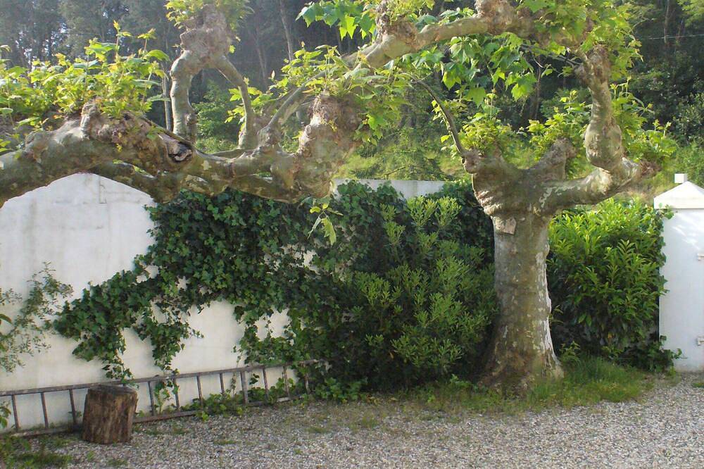 Appartement entier, T3 pays basque / sud landes entre Biarritz et Capbreton in Tarnos, Côte d’Argent