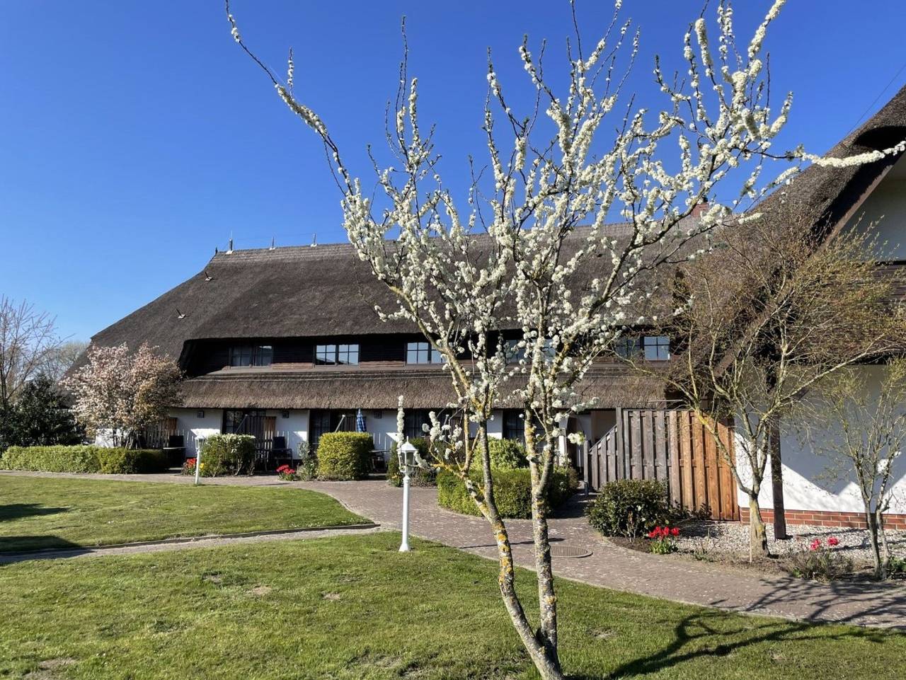 3*** Appartementhotel Mare Balticum Gmbh & Co Kg in Sagard, Nationalpark Jasmund