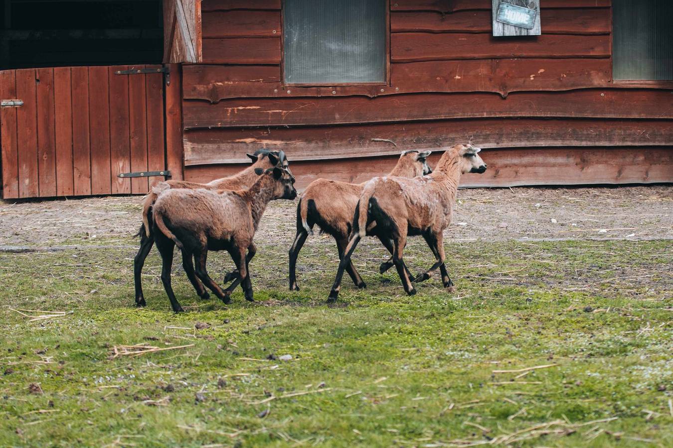 Glamp Boho - Ranczo Targówka in Großpolen
