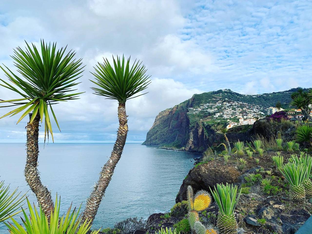 Ganze Wohnung, Ferienwohnung 'Ocean Cliff' mit Meerblick, Balkon und Wi-Fi in Gaula, Madeira