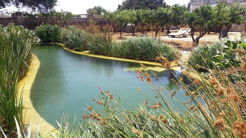 Villa per 12 persone, con idromassaggio e giardino nonché terrazza e piscina a Trepuzzi