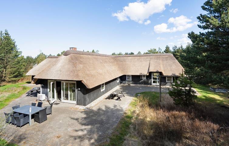 Ferienhaus für 12 Personen, mit Haustier in Blavand