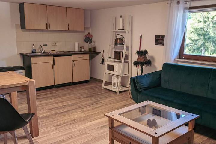 Ferienwohnung für 3 Personen, mit Sauna und Garten in Furtwangen